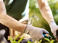 Borner Baumpflege & Gartengestaltung - Klicken Sie, um das Bild 1 in einer Lightbox vergrössert darzustellen