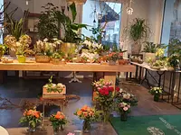 Blumen und Pflanzen – click to enlarge the image 5 in a lightbox