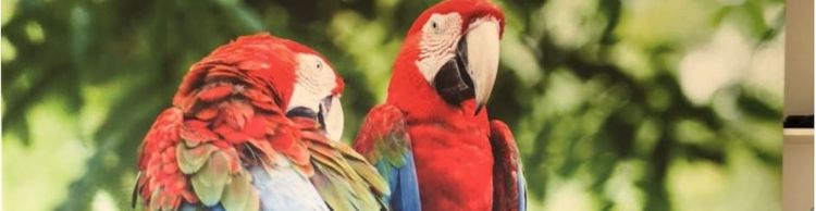 Vws Handwerker Das Handwerkerverzeichnis