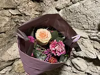 Blumen Candinas / Fluras Candinas - Klicken Sie, um das Bild 5 in einer Lightbox vergrössert darzustellen