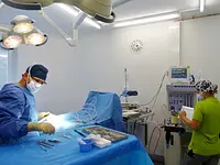 Kleintier-Spezialisten Klinik ARC - cliccare per ingrandire l’immagine 4 in una lightbox