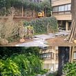 Progettazione manutenzione trasformazione giardini costruzione giardiniere diplomato Lugano