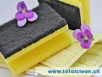 Total CLEAN – click to enlarge the image 10 in a lightbox