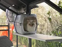 Hôtel pour chats 'Le Clozaley' – Cliquez pour agrandir l’image 9 dans une Lightbox