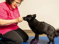 Hund in Balance Hundephysiotherapie - Klicken Sie, um das Bild 6 in einer Lightbox vergrössert darzustellen
