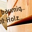 Hitz Holzbau AG