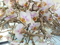 Blumen Design | Fleurop Interflora – Cliquez pour agrandir l’image 5 dans une Lightbox