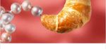 Frisch-Kreationen