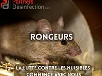 Anti Nuisibles | Partners Desinfection Sàrl - Klicken Sie, um das Bild 2 in einer Lightbox vergrössert darzustellen