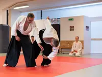 Judo Jiu-Jitsu Institut Sàrl - Klicken Sie, um das Bild 3 in einer Lightbox vergrössert darzustellen