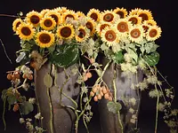 Blumen Flowerevents - Klicken Sie, um das Bild 4 in einer Lightbox vergrössert darzustellen