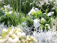 AUHOF Pflanzen Garten Blumen - cliccare per ingrandire l’immagine 25 in una lightbox