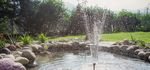 Creazione biotopi, giardini acquatici e stagni