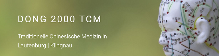 DONG 2000 TCM GmbH