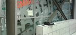 Decors pour Vitrage