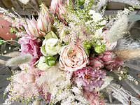 Lieblings-Blumen - Klicken Sie, um das Bild 4 in einer Lightbox vergrössert darzustellen