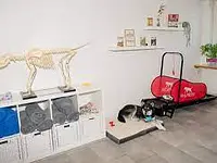 anima activa Hundephysiotherapie - Klicken Sie, um das Bild 7 in einer Lightbox vergrössert darzustellen
