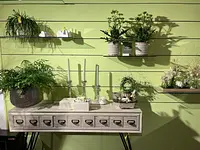 Blumen Oase GmbH - Klicken Sie, um das Bild 13 in einer Lightbox vergrössert darzustellen