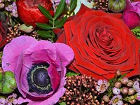 Blumenhaus Erni - Klicken Sie, um das Bild 2 in einer Lightbox vergrössert darzustellen