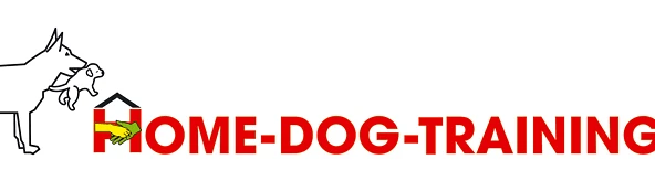home-dog-training naef GmbH