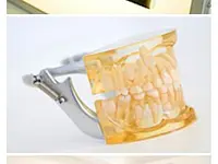 Zahnheilkunde Seifert GmbH - Klicken Sie, um das Bild 2 in einer Lightbox vergrössert darzustellen