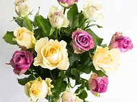 Floristik natürlich - cliccare per ingrandire l’immagine 1 in una lightbox