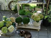 Gärtnerei und Blumengeschäft Sommer - Klicken Sie, um das Bild 2 in einer Lightbox vergrössert darzustellen