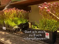Bühlmann & Partner Garten GmbH - cliccare per ingrandire l’immagine 18 in una lightbox
