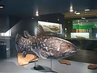 Naturhistorisches Museum Bern - Klicken Sie, um das Bild 4 in einer Lightbox vergrössert darzustellen