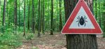 Protection vaccinale contre l’encéphalite à tiques