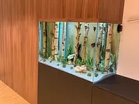 Aquarium-Bassin SARL – Cliquez pour agrandir l’image 3 dans une Lightbox