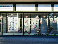 Meister Immobilien-Treuhand – click to enlarge the image 10 in a lightbox