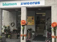 Blumen Zweerus – click to enlarge the image 23 in a lightbox