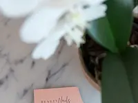 Beauty Nails di Manuela Meier - cliccare per ingrandire l’immagine 7 in una lightbox