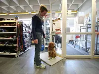 Lucky Pets GmbH - Klicken Sie, um das Bild 4 in einer Lightbox vergrössert darzustellen