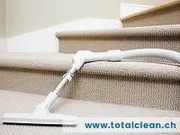 Total CLEAN – click to enlarge the image 8 in a lightbox