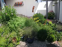 Widler Gartenbau GmbH - Klicken Sie, um das Bild 13 in einer Lightbox vergrössert darzustellen