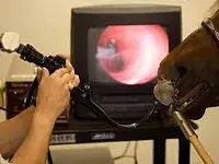 Réseau de soins vétérinaires équins (RéSoVet Equins) SA – click to enlarge the image 4 in a lightbox