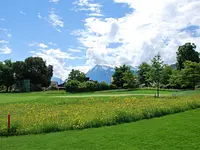 Golf Club Thunersee – click to enlarge the image 4 in a lightbox