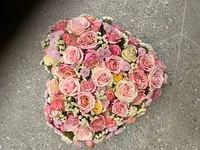 Blumen Petermann - Klicken Sie, um das Bild 8 in einer Lightbox vergrössert darzustellen