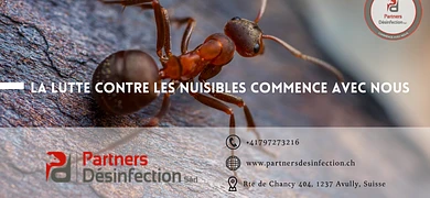 Anti Nuisibles | Partners Desinfection Sàrl