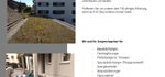 Bauabdichtung / Flachdächer / Terrassen