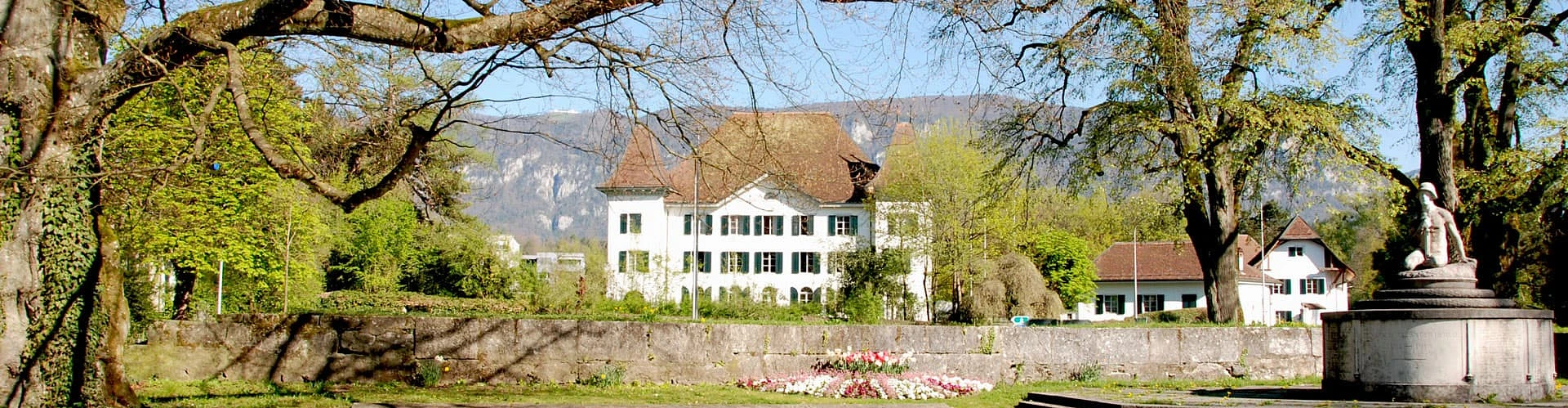 A. Früh Immobilien Schweiz AG