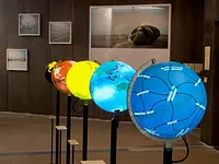 Naturhistorisches Museum Bern - Klicken Sie, um das Bild 8 in einer Lightbox vergrössert darzustellen