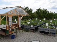 Wildpflanzengärtnerei Flora di Berna - Klicken Sie, um das Bild 1 in einer Lightbox vergrössert darzustellen