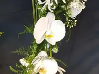 Floristik natürlich - cliccare per ingrandire l’immagine 17 in una lightbox