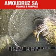 Amoudruz SA