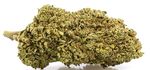 WHITE WIDOW | CBD – CBDA < 17%
