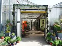 Herrmann Pflanzen GmbH - Klicken Sie, um das Bild 1 in einer Lightbox vergrössert darzustellen
