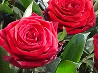 Florarte - cliccare per ingrandire l’immagine 1 in una lightbox